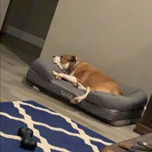 Meet your Posher, Melody